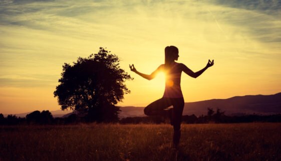 Young athletic woman practicing yoga on a meadow at sunset, silhouette