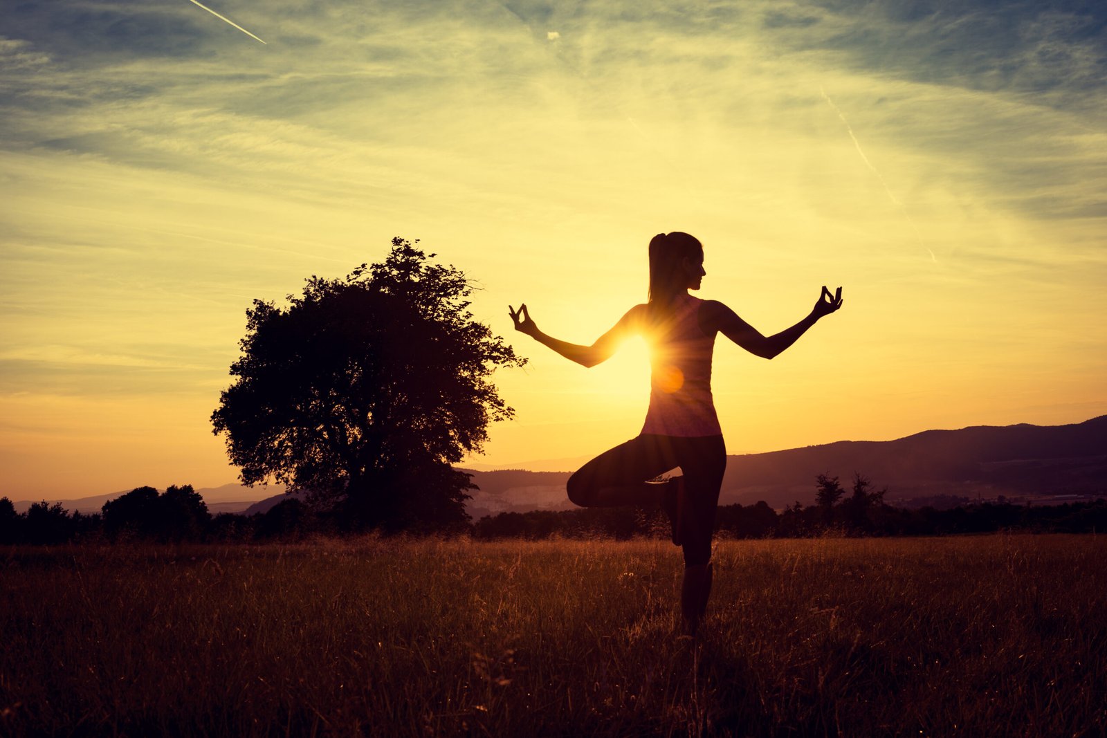 Young athletic woman practicing yoga on a meadow at sunset, silhouette
