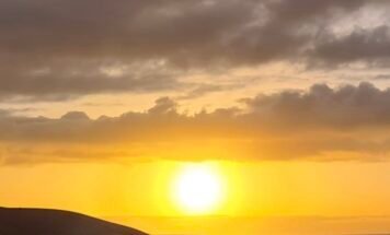 5a883b4f-3449-4852-b736-13a104a79694